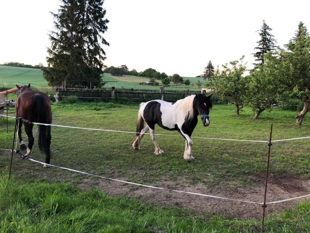 Ferienwohnung Gans Auguste Dohna Exteriör bild